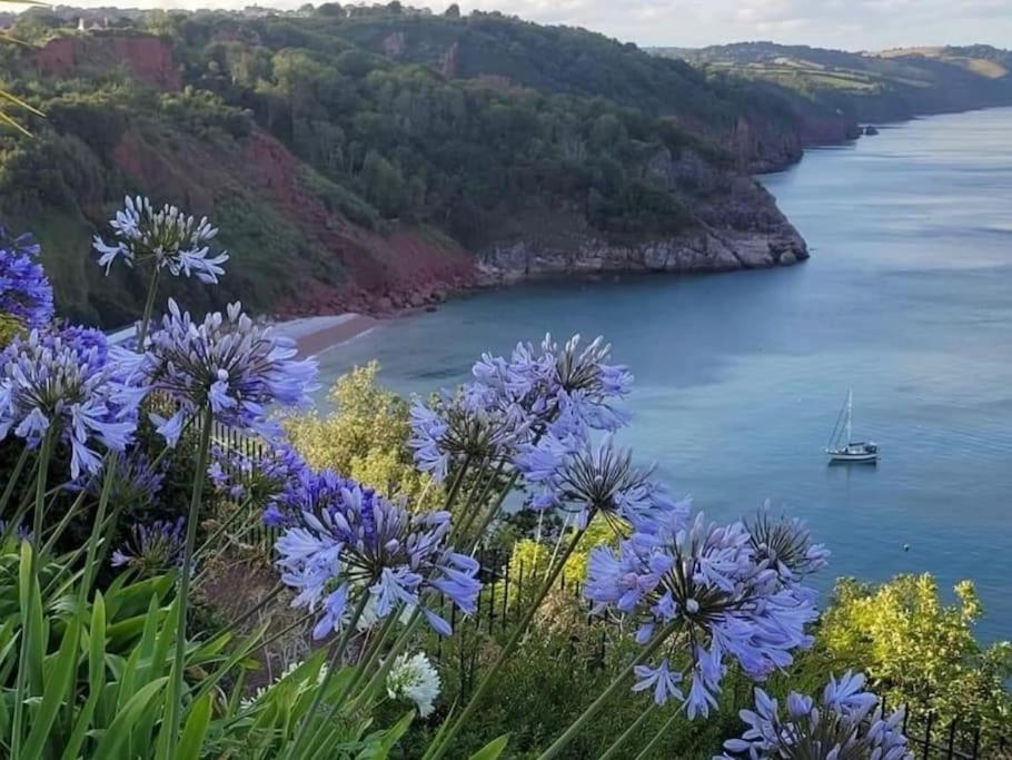 Coastal Retreat In Babbacombe - Cary Casa vacanze *