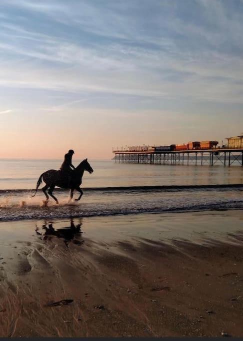Casa vacanze Coastal Retreat In Babbacombe - Cary *